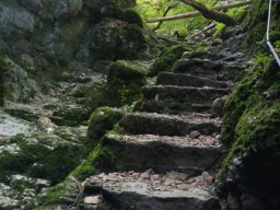 20210825_105848_ergebnis