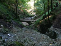 20210825_110217_ergebnis