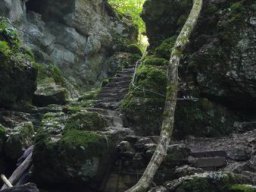 20210825_110230_ergebnis