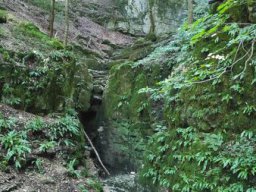 20210825_110718_ergebnis