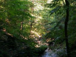 20210825_110752_hdr_ergebnis