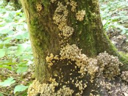 20210825_113304_ergebnis