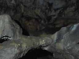 20210825_115625_ergebnis